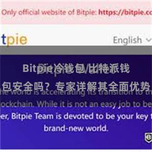 Bitpie冷钱包 比特派钱包安全吗？专家详解其全面优势