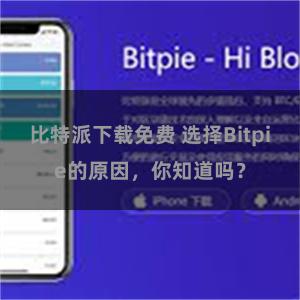 比特派下载免费 选择Bitpie的原因，你知道吗？