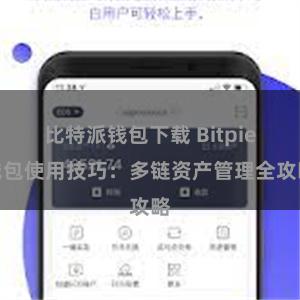 比特派钱包下载 Bitpie钱包使用技巧：多链资产管理全攻略