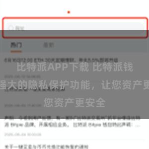 比特派APP下载 比特派钱包：强大的隐私保护功能，让您资产更安全