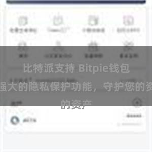 比特派支持 Bitpie钱包：强大的隐私保护功能，守护您的资产