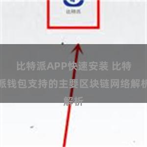 比特派APP快速安装 比特派钱包支持的主要区块链网络解析