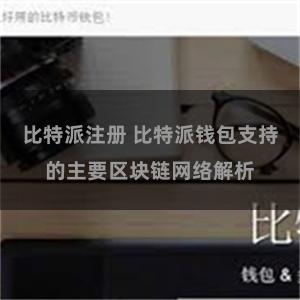 比特派注册 比特派钱包支持的主要区块链网络解析