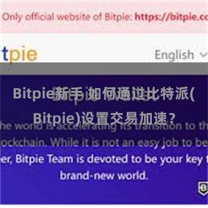 Bitpie新手 如何通过比特派(Bitpie)设置交易加速？