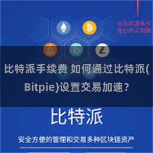 比特派手续费 如何通过比特派(Bitpie)设置交易加速？