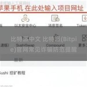 比特派中文 比特派(Bitpie)官网常见诈骗防范提醒