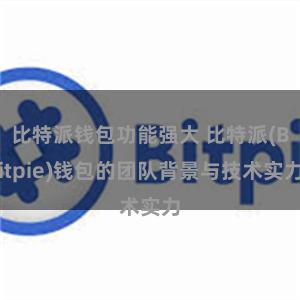 比特派钱包功能强大 比特派(Bitpie)钱包的团队背景与技术实力