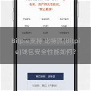 Bitpie支持 比特派(Bitpie)钱包安全性能如何？