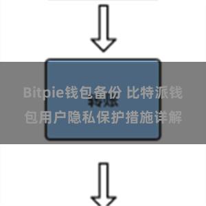 Bitpie钱包备份 比特派钱包用户隐私保护措施详解