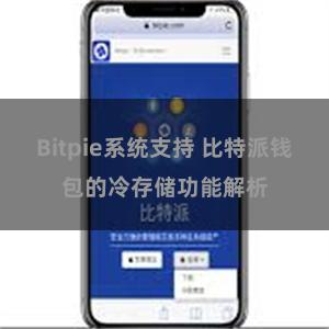 Bitpie系统支持 比特派钱包的冷存储功能解析